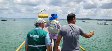 WhatsApp Image 2025-02-05 at 16.44.59