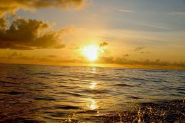 WhatsApp Image 2025-02-13 at 14.28.32