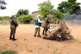 WhatsApp Image 2025-02-14 at 08.40.29