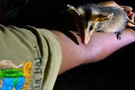 WhatsApp Image 2025-02-20 at 13.51.55 (1)