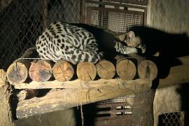 WhatsApp Image 2025-02-20 at 13.52.14