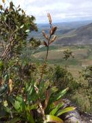 WhatsApp Image 2025-03-06 at 15.28.31