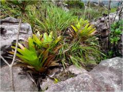 WhatsApp Image 2025-03-06 at 15.29.38