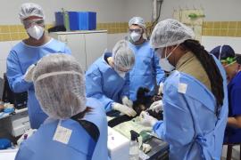 WhatsApp Image 2025-03-13 at 14.13.41 (2)