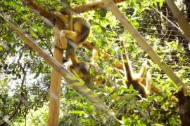 WhatsApp Image 2025-03-13 at 14.13.41