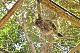 WhatsApp Image 2025-03-13 at 14.13.42 (1)