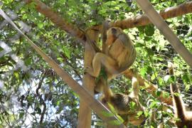 WhatsApp Image 2025-03-13 at 14.13.43 (1)