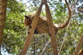 WhatsApp Image 2025-03-13 at 14.13.43