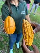 WhatsApp Image 2025-03-18 at 16.56.55