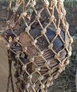 WhatsApp Image 2025-03-30 at 09.46.31