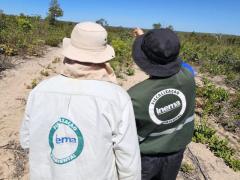 fiscalização ambiental