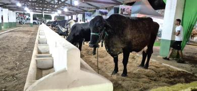 0af612e7-7c72-4ea1-b0b5-7b34dc5c709c