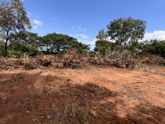 Operação Mata do Guará - Águas do Oeste (10)