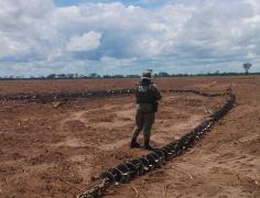 Operação Mata do Guará - Águas do Oeste (2)