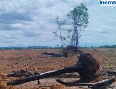 Operação Mata do Guará - Águas do Oeste (3)