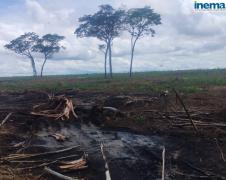 Operação Mata do Guará - Águas do Oeste (6)