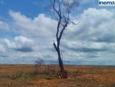 Operação Mata do Guará - Águas do Oeste (7)