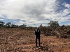 Operação Mata do Guará - Águas do Oeste (8)