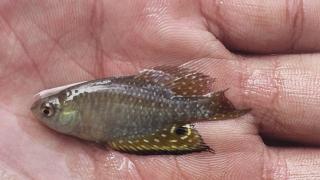 WhatsApp Image 2025-04-15 at 11.51.30