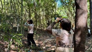 WhatsApp Image 2025-04-15 at 16.32.52