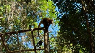 WhatsApp Image 2025-04-15 at 16.33.06