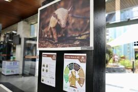 Exposição Caatinga (11)