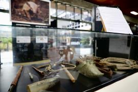 Exposição Caatinga (6)