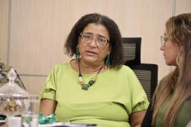 Reunião Bahia Sem Fogo (40)