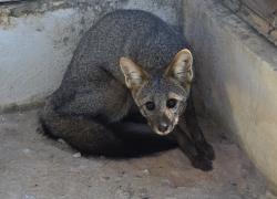 WhatsApp Image 2025-05-08 at 12.03.55