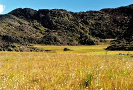 WhatsApp Image 2025-05-19 at 10.19.01