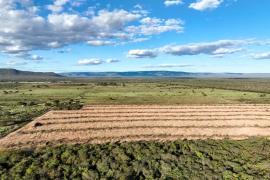 WhatsApp Image 2025-05-20 at 08.53.17 (1)