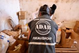 WhatsApp Image 2025-05-28 at 21.48.07