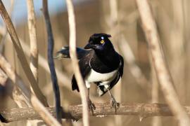 WhatsApp Image 2025-05-29 at 10.25.11 (2)