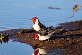 WhatsApp Image 2025-05-29 at 10.25.12 (2)