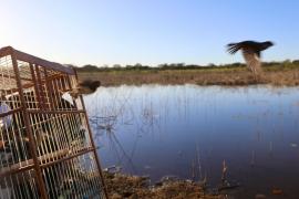 WhatsApp Image 2025-05-29 at 10.25.12 (3)