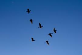 WhatsApp Image 2025-05-29 at 10.25.12