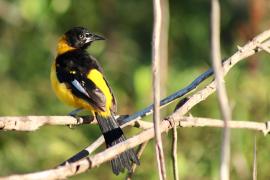 WhatsApp Image 2025-05-29 at 10.25.13 (1)