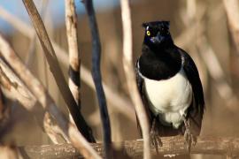 WhatsApp Image 2025-05-29 at 10.25.13 (2)