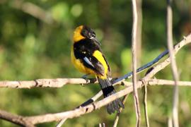 WhatsApp Image 2025-05-29 at 10.25.14