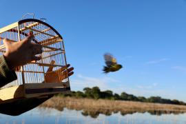 WhatsApp Image 2025-05-29 at 10.25.15 (1)