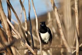 WhatsApp Image 2025-05-29 at 10.25.15 (2)