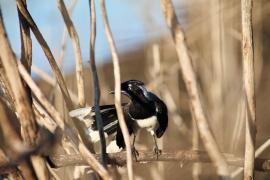 WhatsApp Image 2025-05-29 at 10.25.16