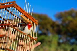 WhatsApp Image 2025-05-29 at 10.25.17 (1)