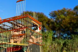 WhatsApp Image 2025-05-29 at 10.25.17