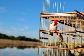 WhatsApp Image 2025-05-29 at 10.25.18