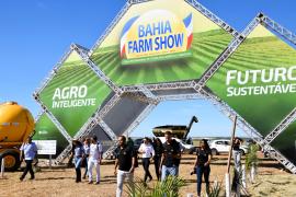 WhatsApp Image 2025-06-13 at 17.28.03