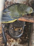 WhatsApp Image 2025-06-16 at 14.34.39