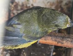 WhatsApp Image 2025-06-16 at 15.30.01