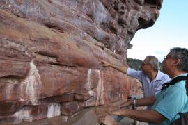 Foto: Ronaldo Silva - Agecom 