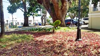 PasseioPúblico.ftGeraldoMoniz (6)